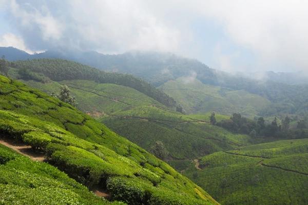 Delhi to Una Himachal