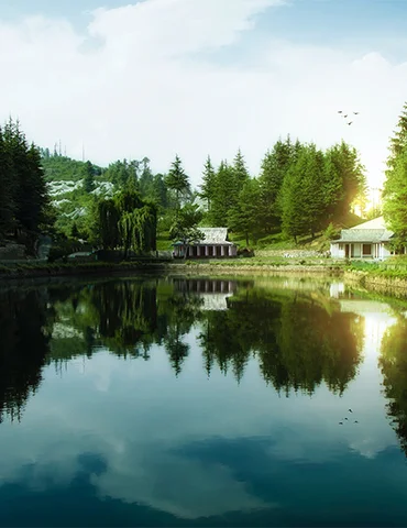 Narkanda Tour Package