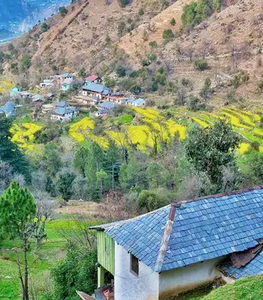 Chail in Summer Chail in Summer
