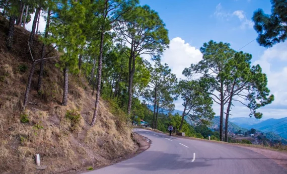 How to Reach Kasauli by Road