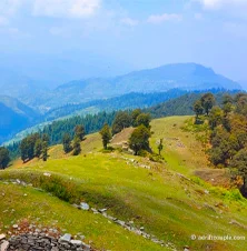 Jalauri Pass