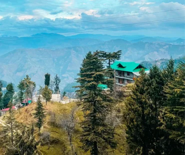 bird watching in jibhi