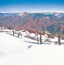 Kufri Valley