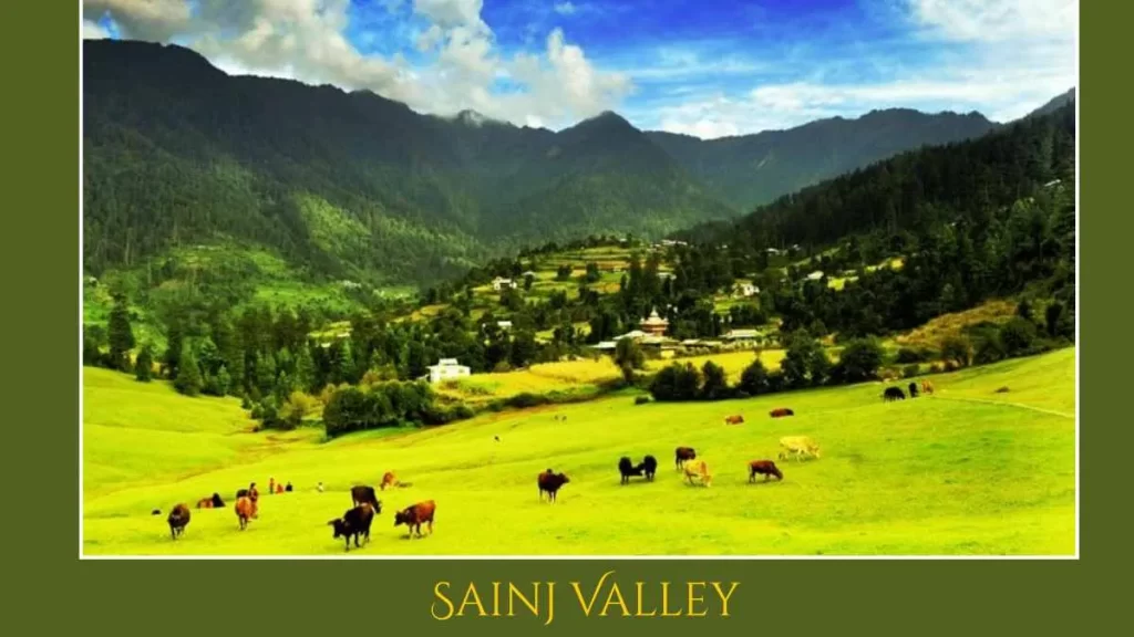 Explore Must visit Offbeat Places in Himachal: The peaceful side Sainj Valley in himachal